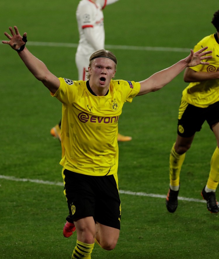 国际轮滑马 国际轮滑马