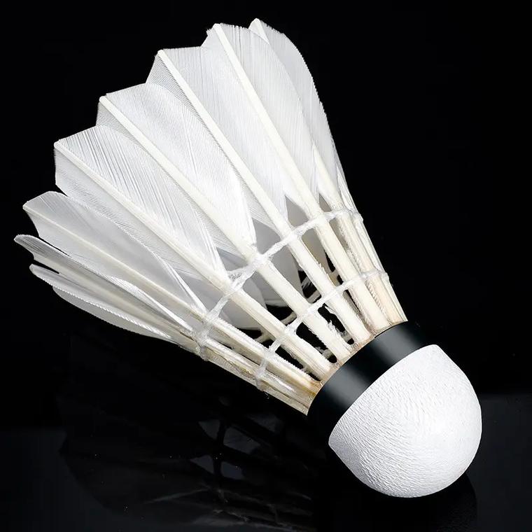 是九连胜期 是九连胜期